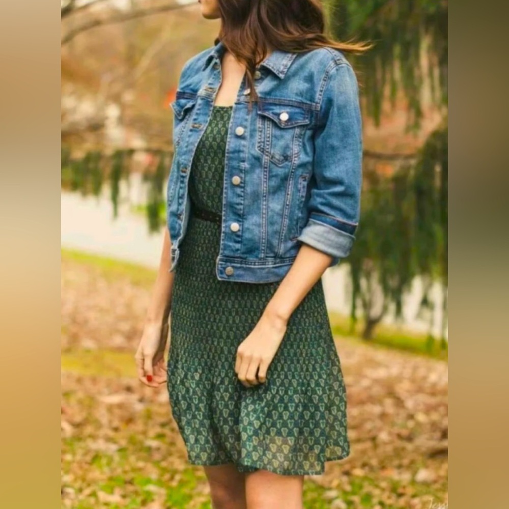 Cabi Dakota Jean Jacket